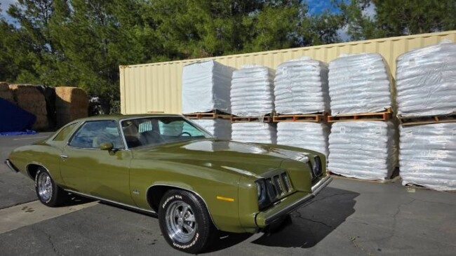1973 Pontiac Grand Am