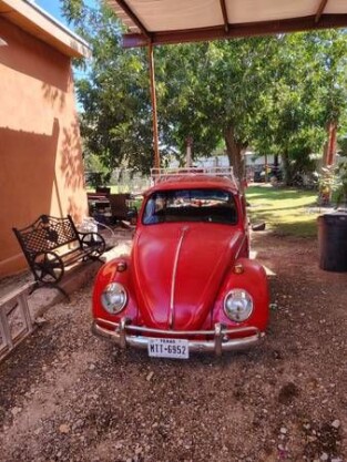 1965 Volkswagen Beetle