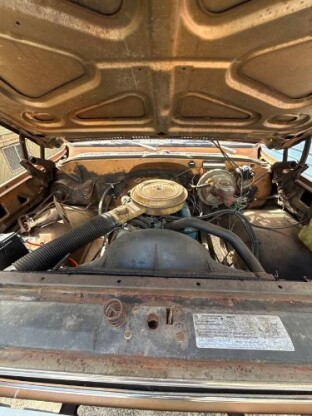 1966 Chevrolet C20