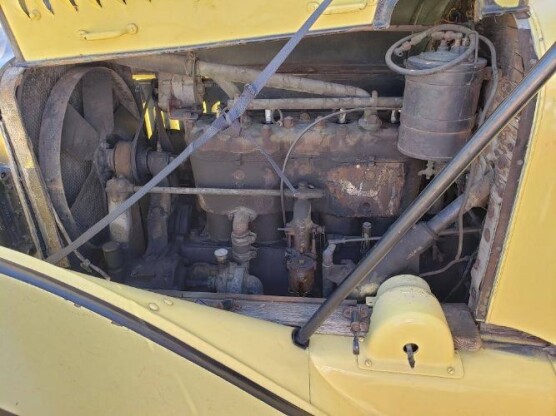 1925 White                                              Other