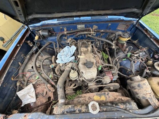 1982 Toyota Hilux