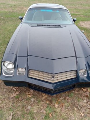 1979 Chevrolet Camaro