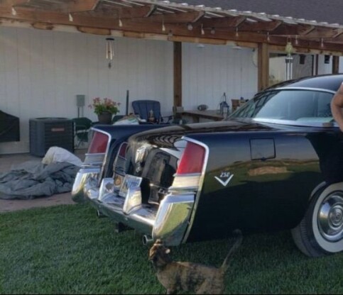 1956 Chrysler Nassau