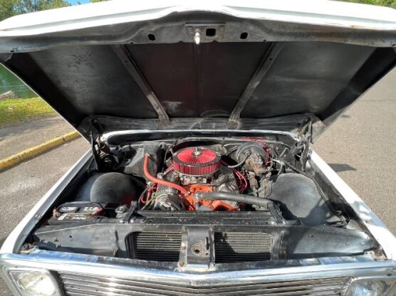 1969 Chevrolet C10 Pickup