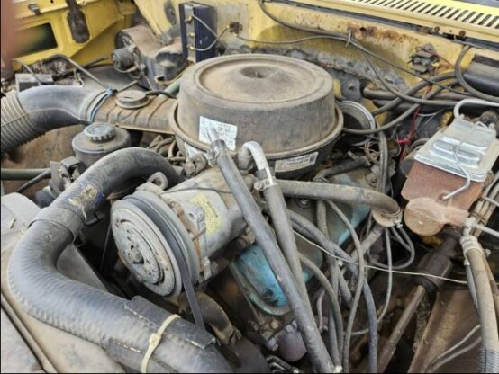 1982 Chevrolet Other