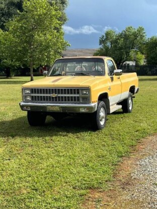 1981 Chevrolet Silverado