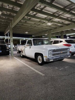 1981 Chevrolet C10 Pickup