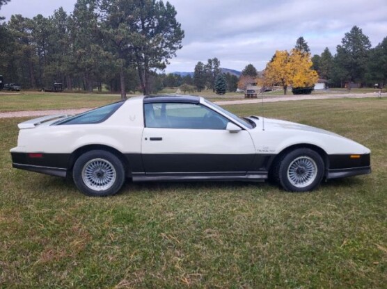 1983 Pontiac Firebird