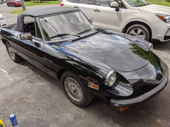 1981 Alfa Romeo Spider