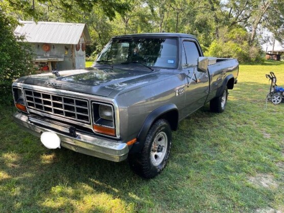 1984 Dodge Other