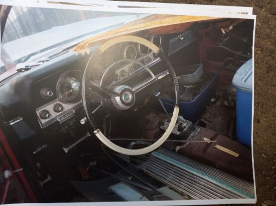 1965 American Motors Marlin