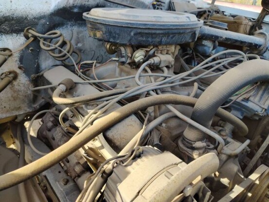 1983 Chevrolet Custom