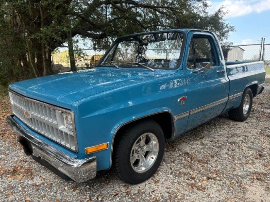 1981 Chevrolet C10 Pickup