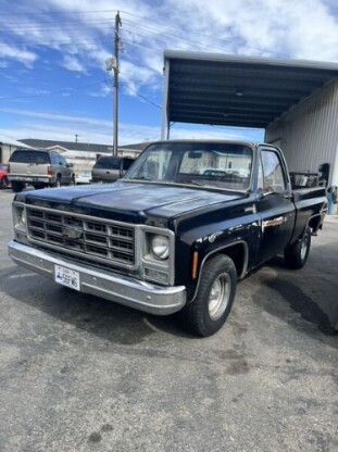 1979 Chevrolet Other