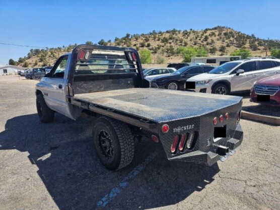 1995 Dodge Other