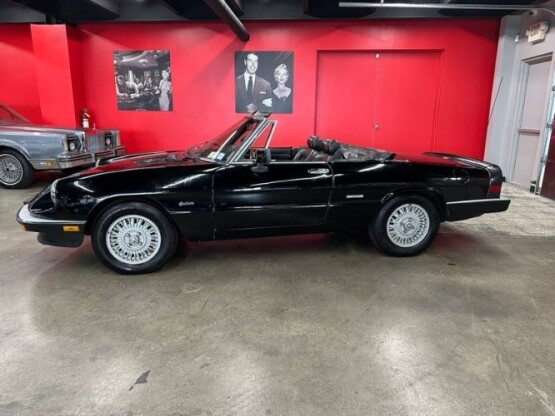 1987 Alfa Romeo Spider