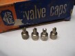 Vintage Valve Steam Caps