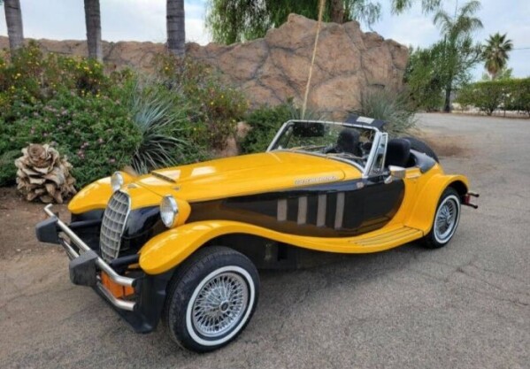 1979 Panther Other