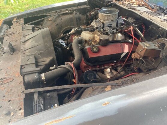 1977 Pontiac Firebird