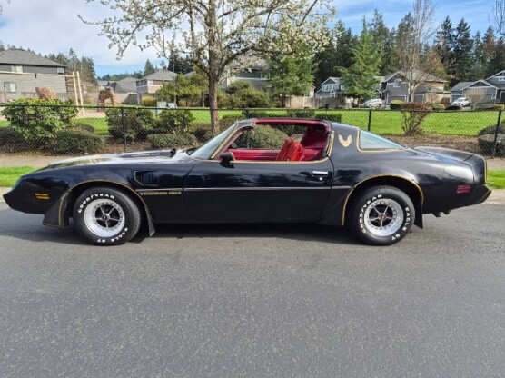 1981 Pontiac Firebird