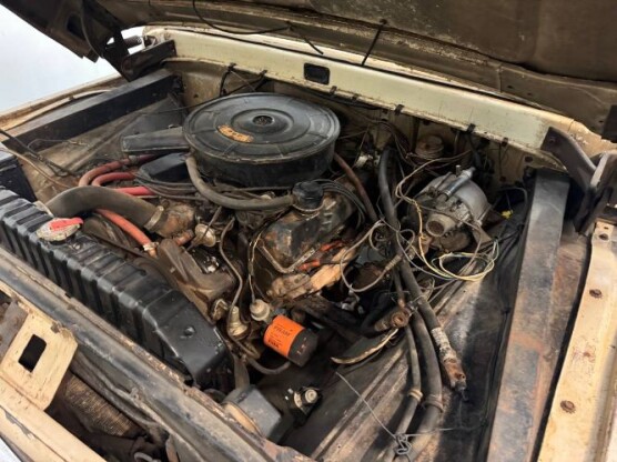 1965 Ford F-250