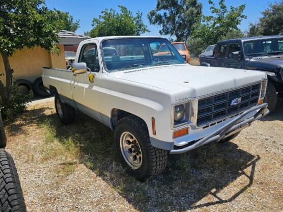 1973 Chevrolet C30