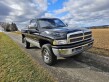 1995 Dodge Other