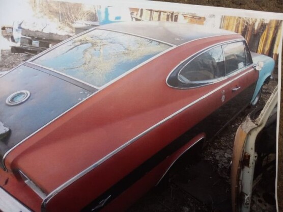 1965 American Motors Marlin