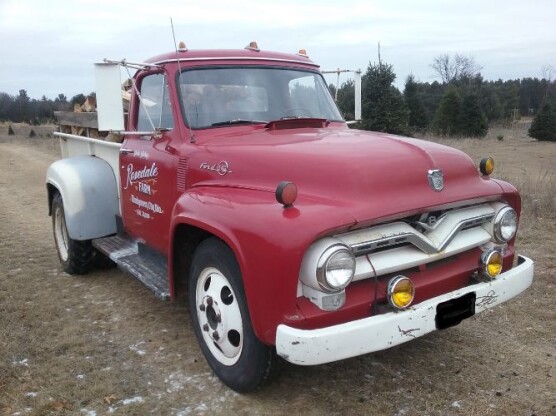 1955 Ford F Series