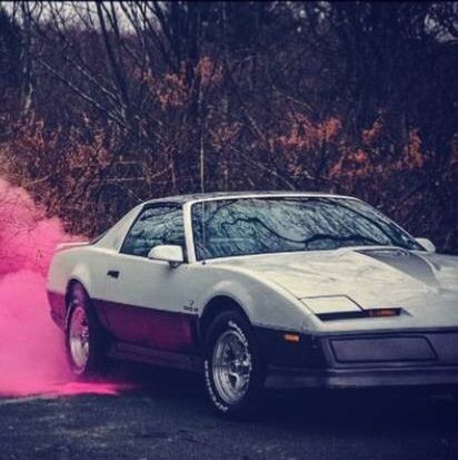 1983 Pontiac Firebird