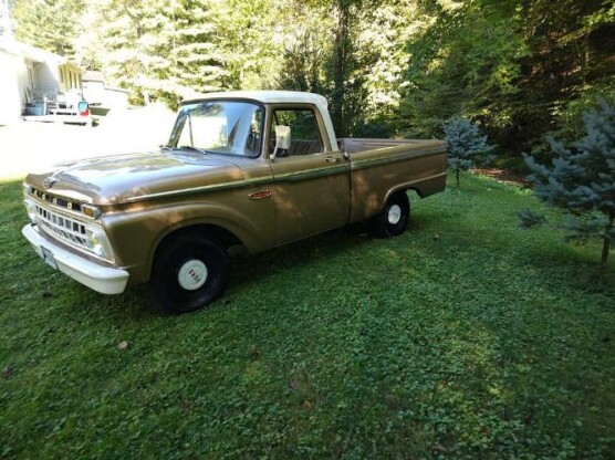 1965 Ford F-100