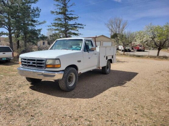 1995 Ford F-250