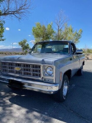 1979 Chevrolet C10 Pickup