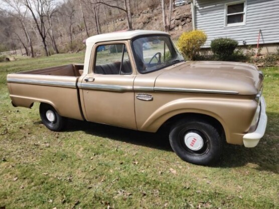 1965 Ford F-100