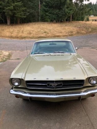 1965 Ford Mustang