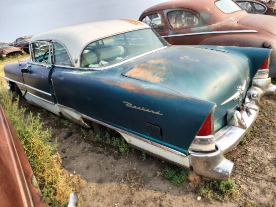 1955 Packard Other