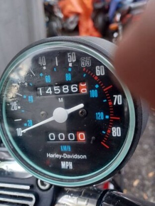 1981 Harley Davidson Other