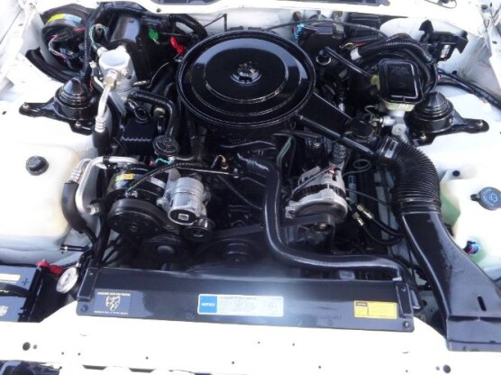 1992 Pontiac Firebird