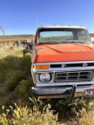 1977 Ford F-150