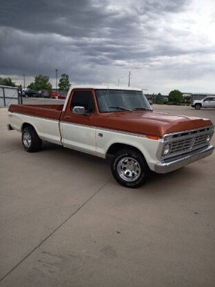 1973 Ford F-100