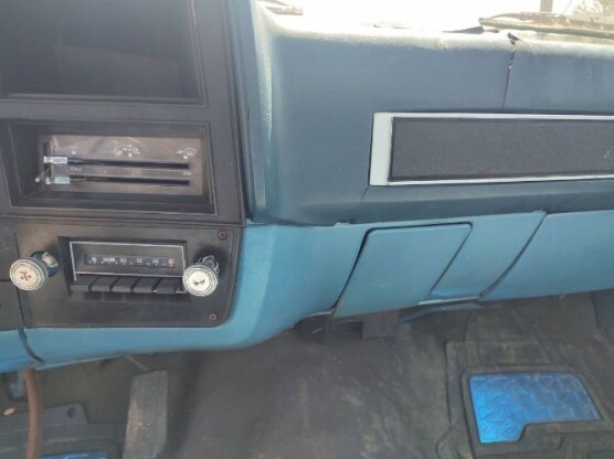 1981 Chevrolet Custom