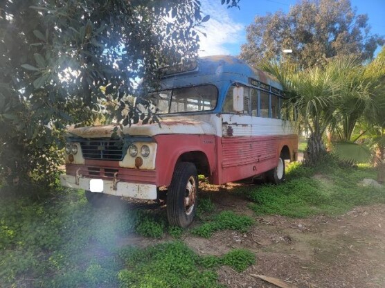 1965 Dodge Other