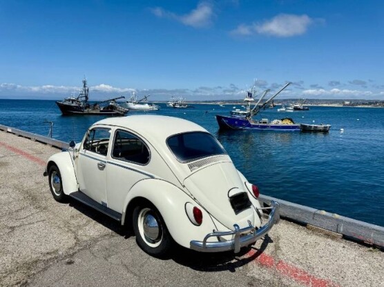1965 Volkswagen Beetle