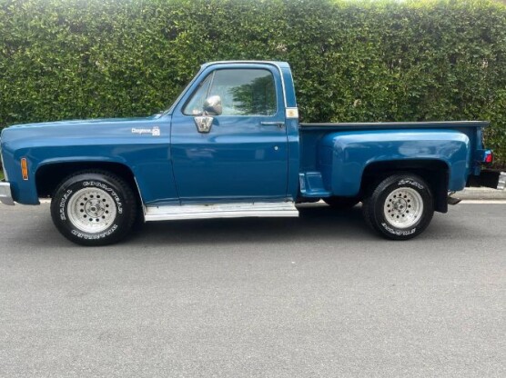 1979 Chevrolet C10 Pickup
