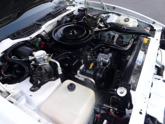 1992 Pontiac Firebird