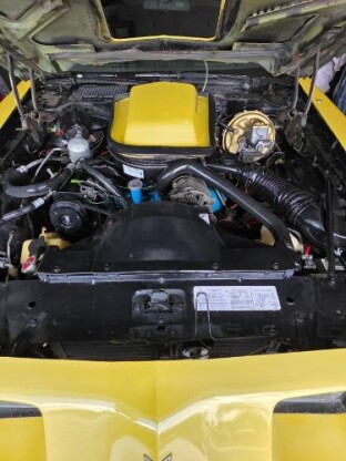 1979 Pontiac Firebird
