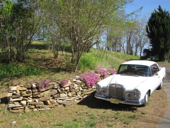 1966 Mercedes-Benz 220SE