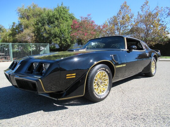 1979 Pontiac Firebird
