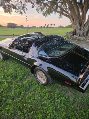 1976 Pontiac Firebird