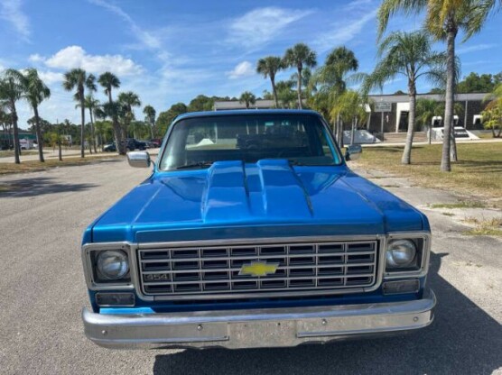 1976 Chevrolet CK
